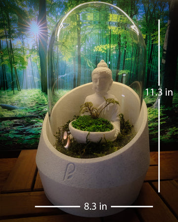 Buddha's Dome XL