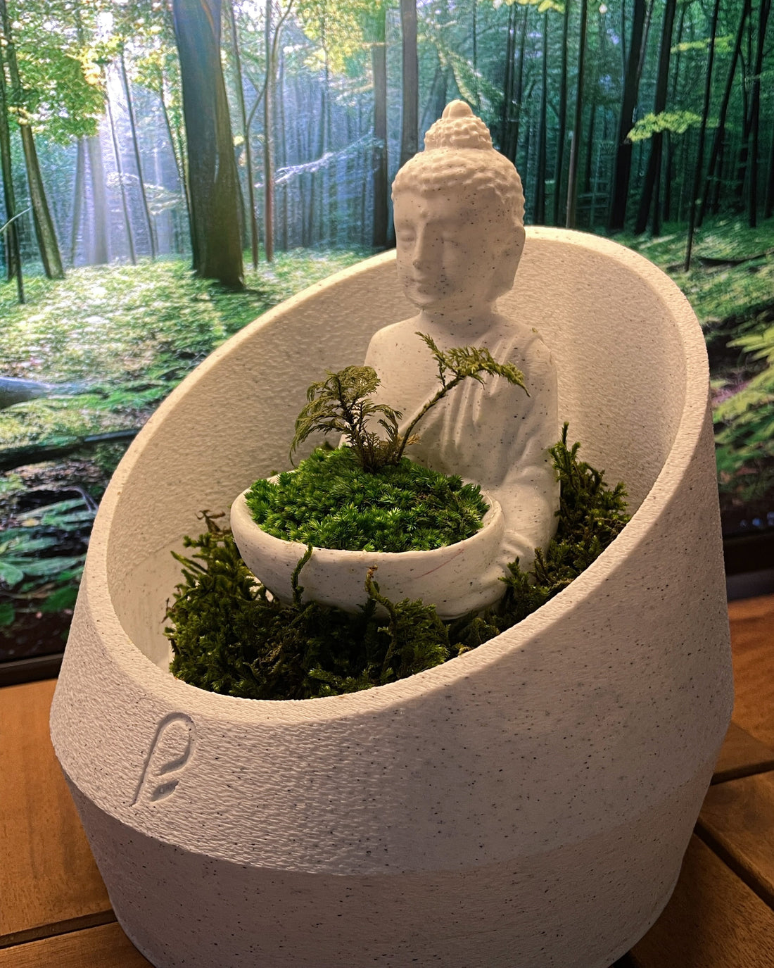 Buddha's Dome XL