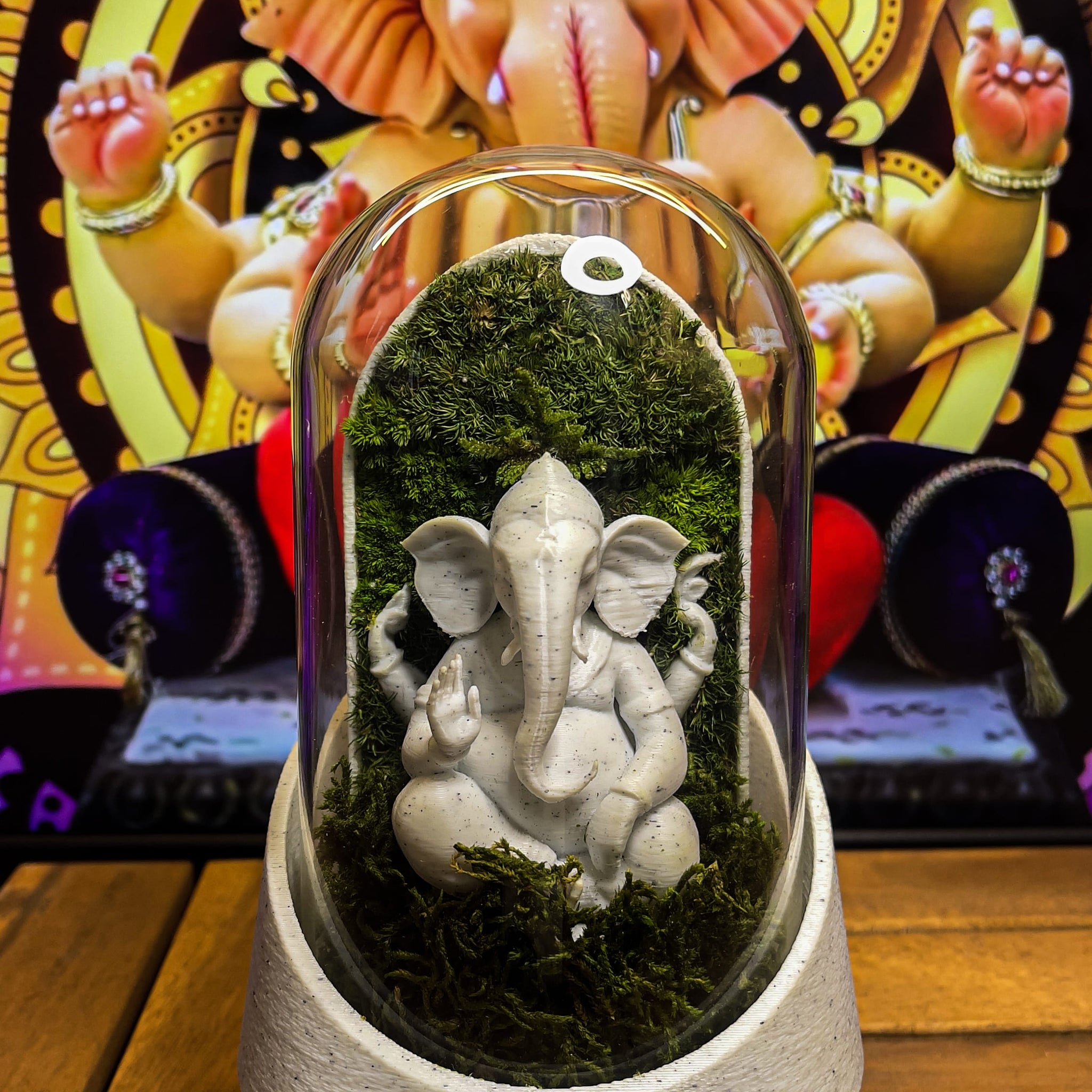 Ganesha's Dome Terrarium