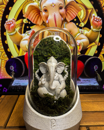 Ganesha's Dome Terrarium