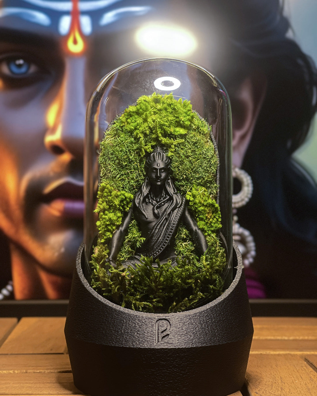 Shiva's Dome Terrarium